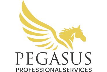 Pegasus Professional Services